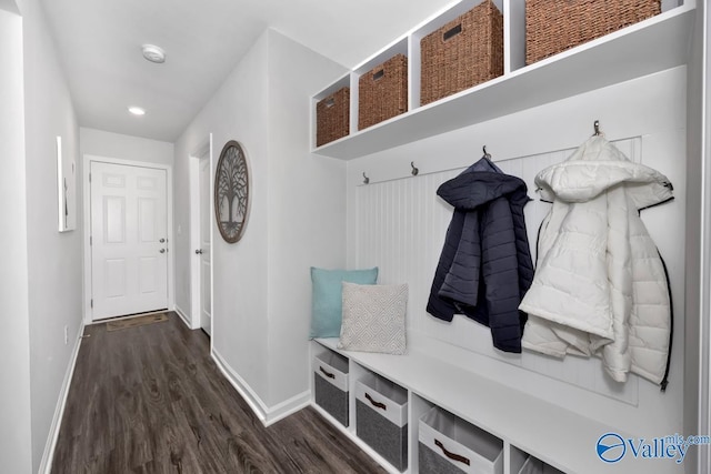 mudroom with dark wood-type flooring