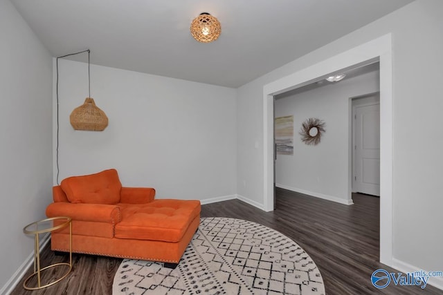 living area with dark wood-type flooring