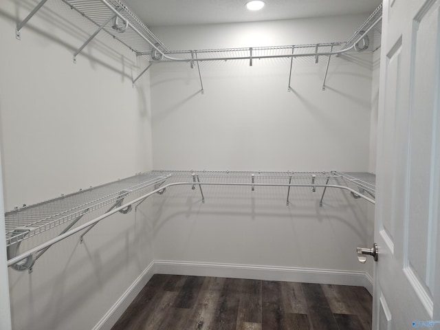 spacious closet featuring hardwood / wood-style floors