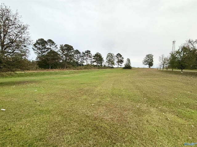 view of yard featuring a rural view