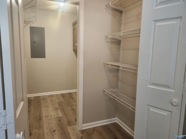 walk in closet featuring electric panel and wood finished floors