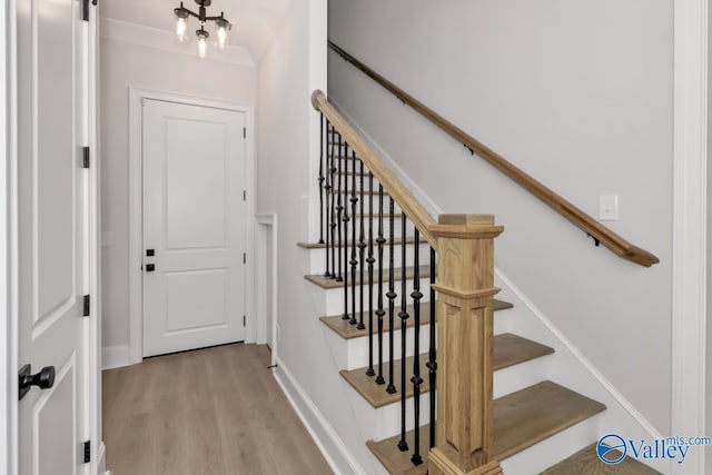 staircase with wood-type flooring