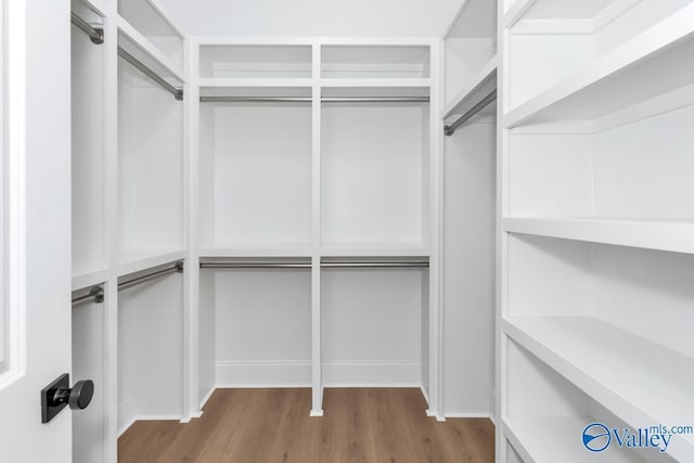 walk in closet with hardwood / wood-style floors