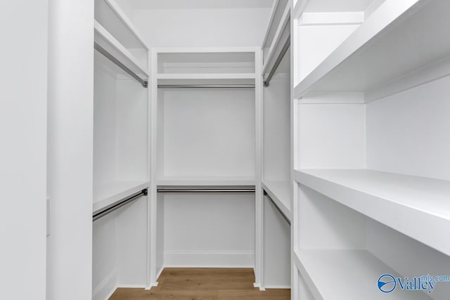 walk in closet with light wood-type flooring