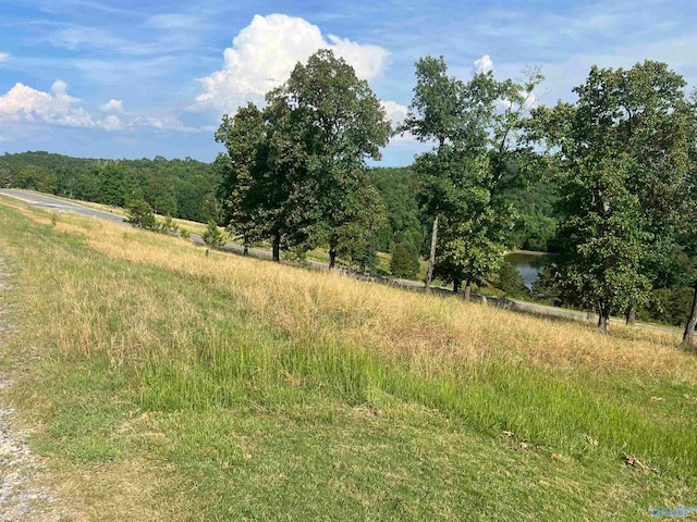 Listing photo 3 for LOT215 County Road 767, Cedar Bluff AL 35959