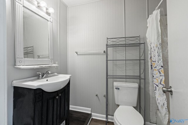 bathroom featuring vanity, toilet, and a shower with shower curtain