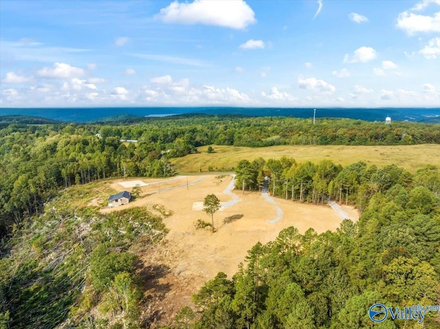 718 Loper Ln, Guntersville AL, 35976 land for sale