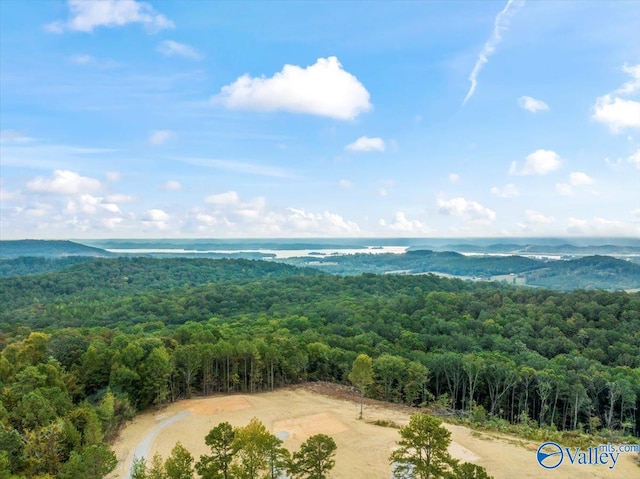 Listing photo 3 for 718 Loper Ln, Guntersville AL 35976