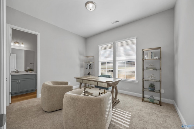 carpeted office with sink