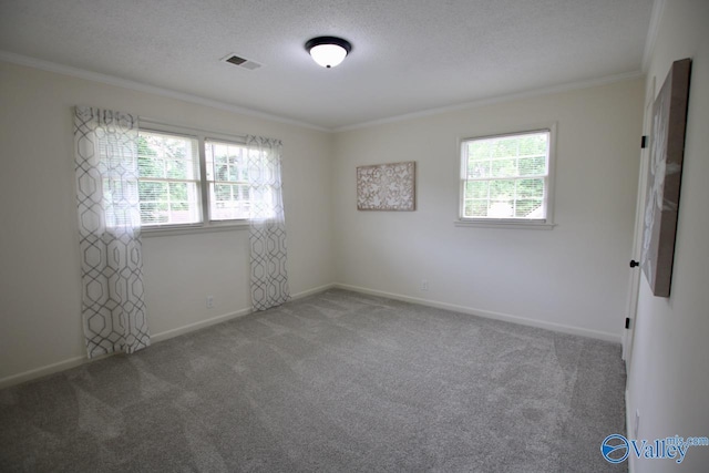 2520 Excalibur Dr SE, Huntsville, AL 35803 - carpeted empty room with healthy amount of natural light, crown molding, baseboards, and a textured ceiling
