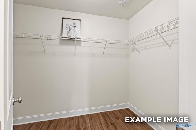 walk in closet with visible vents and wood finished floors