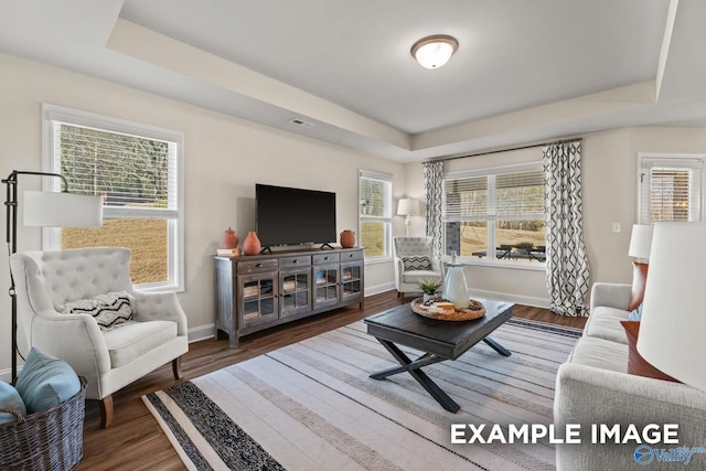 living room with baseboards, a raised ceiling, wood finished floors, and a wealth of natural light