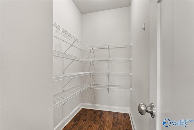 107 Duchess Dr, Madison, AL 35758 - walk in closet with wood finished floors