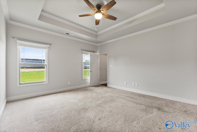 107 Duchess Dr, Madison, AL 35758 - spare room with a raised ceiling, ornamental molding, a ceiling fan, and carpet floors
