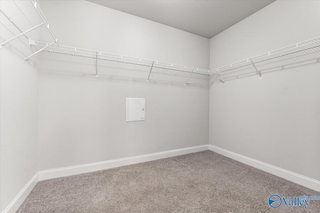 107 Duchess Dr, Madison, AL 35758 - walk in closet with carpet