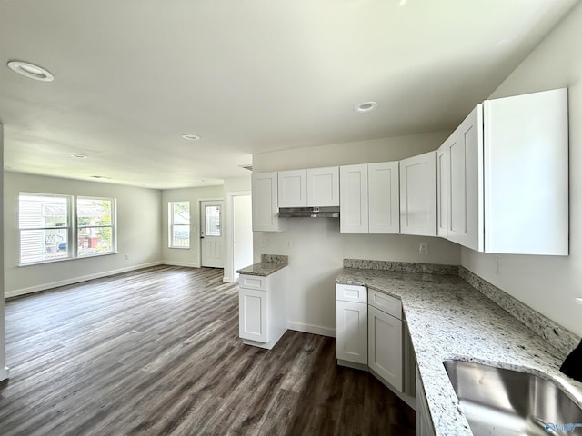 42 Wilkinson Ave E, Gadsden, AL 35904 - kitchen with recessed lighting, dark wood finished floors, white cabinetry, open floor plan, and light stone countertops