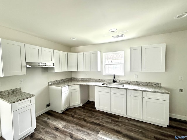 42 Wilkinson Ave E, Gadsden, AL 35904 - kitchen featuring a sink, under cabinet range hood, white cabinetry, dark wood-style flooring, and recessed lighting