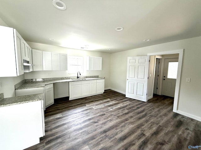 42 Wilkinson Ave E, Gadsden, AL 35904 - kitchen featuring under cabinet range hood, a sink, recessed lighting, white cabinets, and dark wood-type flooring