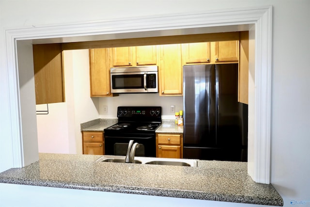 kitchen with black appliances and sink