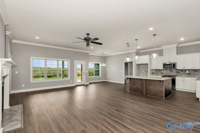 kitchen with a ceiling fan, appliances with stainless steel finishes, dark wood finished floors, open floor plan, and decorative backsplash