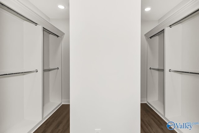 walk in closet featuring dark wood-type flooring