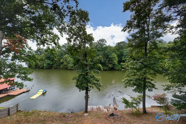 property view of water