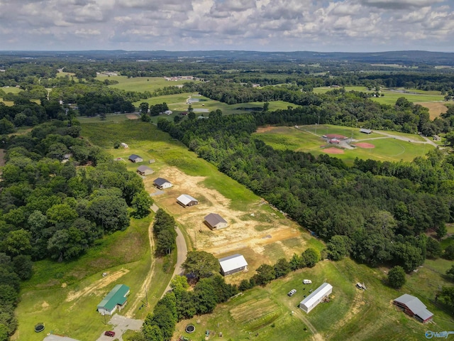 bird's eye view