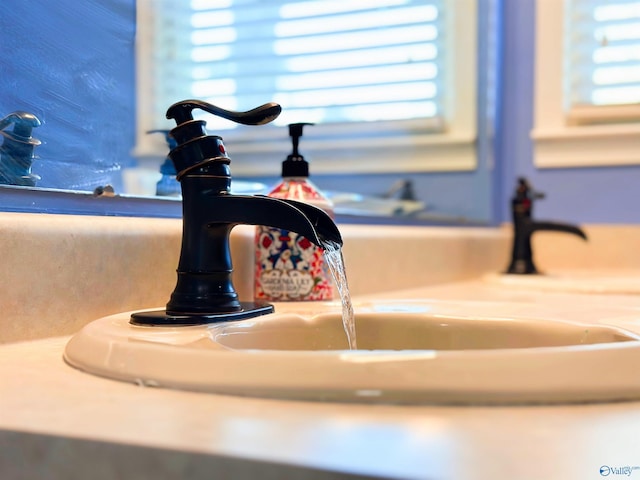 interior details with a sink