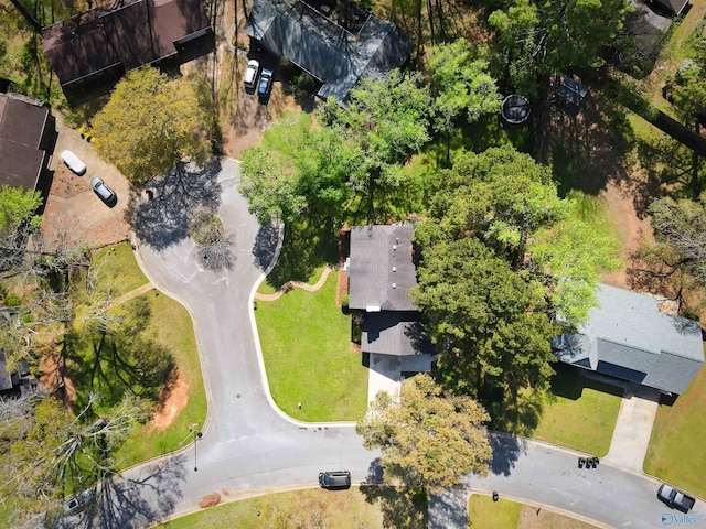 drone / aerial view