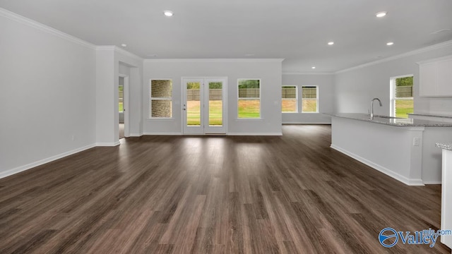 unfurnished living room featuring crown molding, dark wood-type flooring, a healthy amount of sunlight, and sink