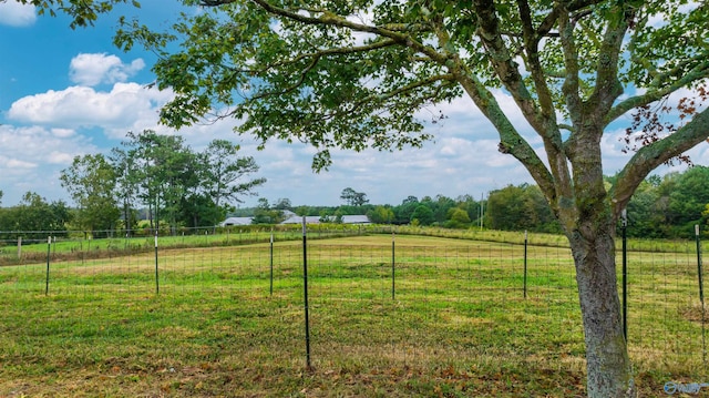 view of yard featuring a rural view