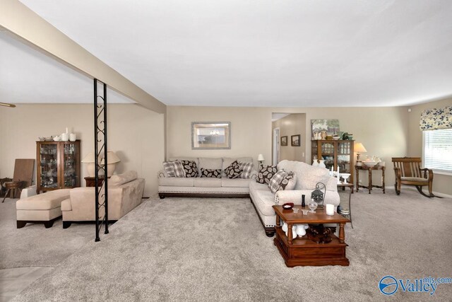 living room featuring carpet floors