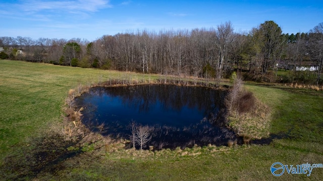 7228 Old Railroad Bed Rd, Toney, AL 35773 - property view of water with a view of trees