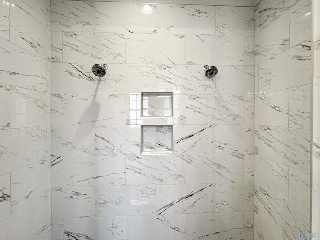 interior details with walk in shower