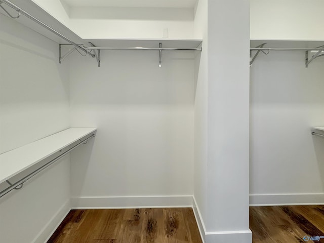 spacious closet featuring dark wood-type flooring