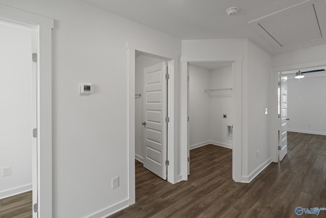 hall with dark hardwood / wood-style flooring