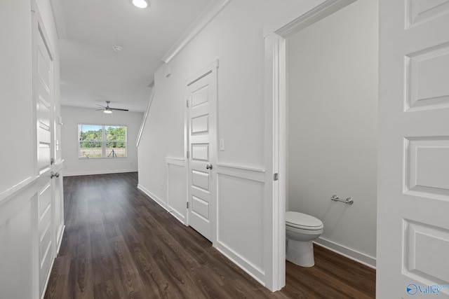 hallway featuring dark hardwood / wood-style flooring and crown molding