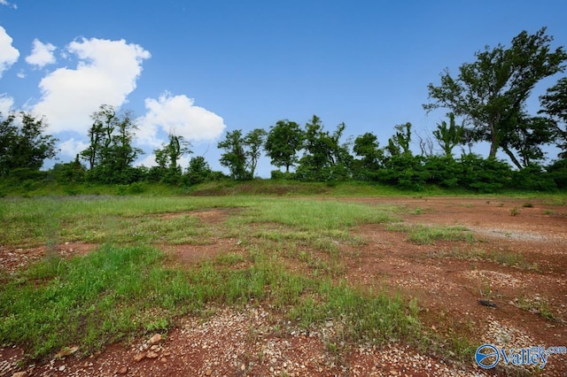 164 Knockash Hl, Madison, AL 35756