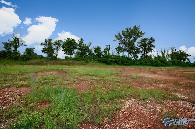 164 Knockash Hl, Madison, AL 35756