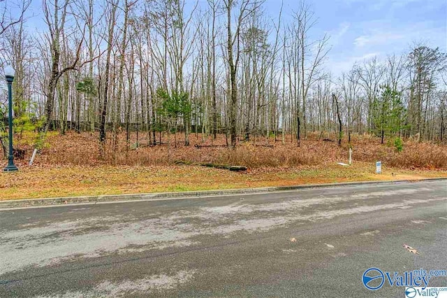 13 Winter Walk Way, Huntsville AL, 35803 land for sale