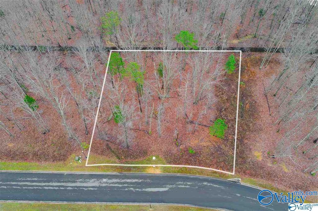 13 Winter Walk Way, Huntsville, AL 35803