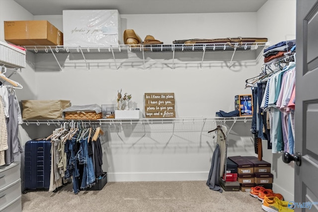 68 Natures Ridge Way, Huntsville, AL 35803 - spacious closet featuring carpet