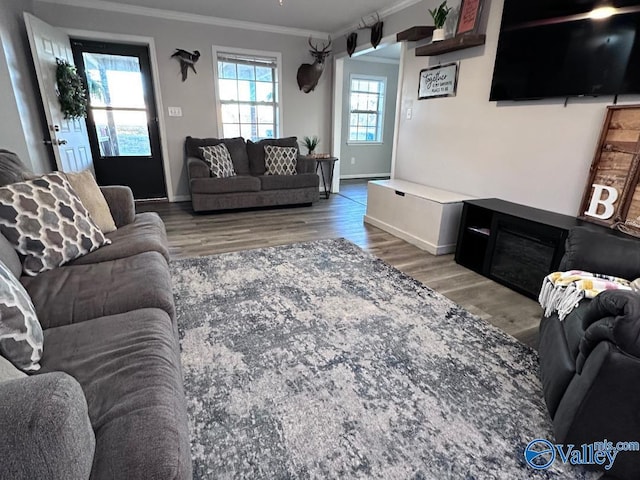 living area featuring a glass covered fireplace, baseboards, wood finished floors, and ornamental molding