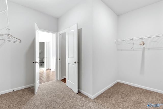 walk in closet featuring carpet