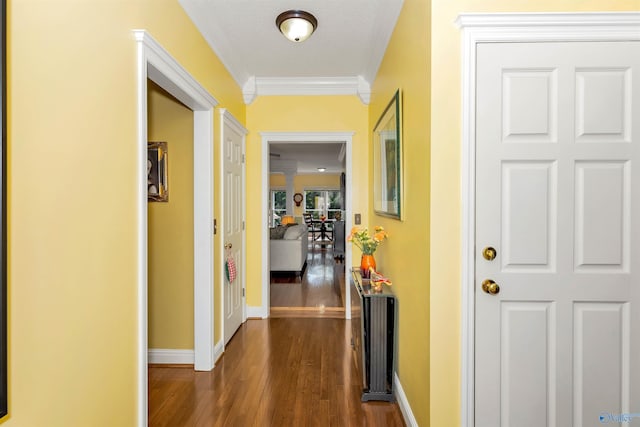 hall featuring crown molding, dark wood-type flooring, and a textured ceiling