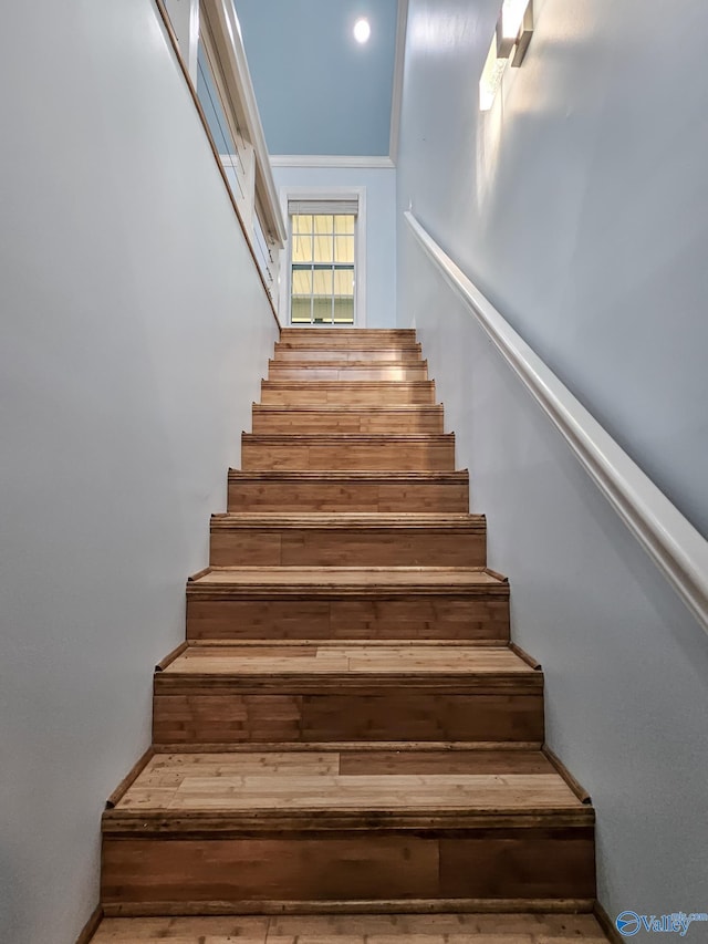 stairs with wood-type flooring