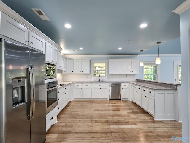 kitchen with decorative light fixtures, appliances with stainless steel finishes, light hardwood / wood-style flooring, and a wealth of natural light