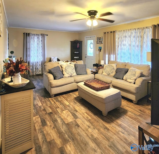 110 Circle Dr, Sand Rock, AL 35983 - living area with wood finished floors, a ceiling fan, and crown molding