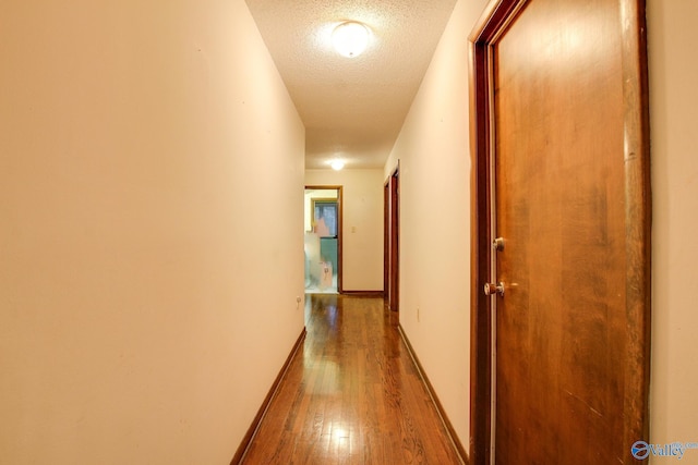 hallway featuring wood-type flooring and a textured ceiling