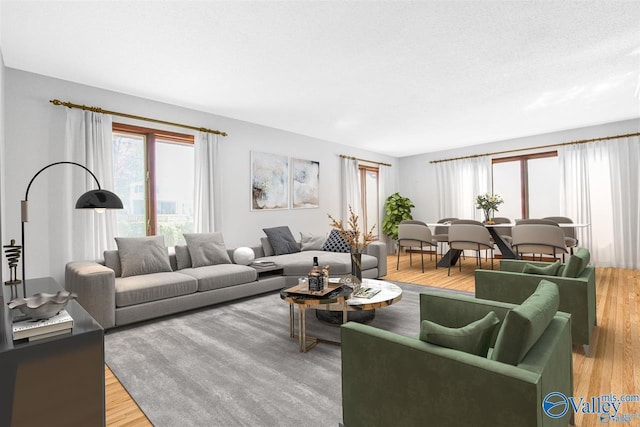 living room with hardwood / wood-style flooring and a textured ceiling